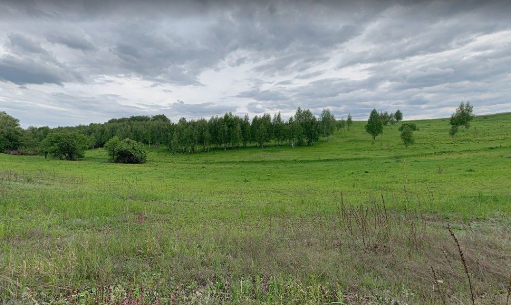 Продам землю в Подгорцах.