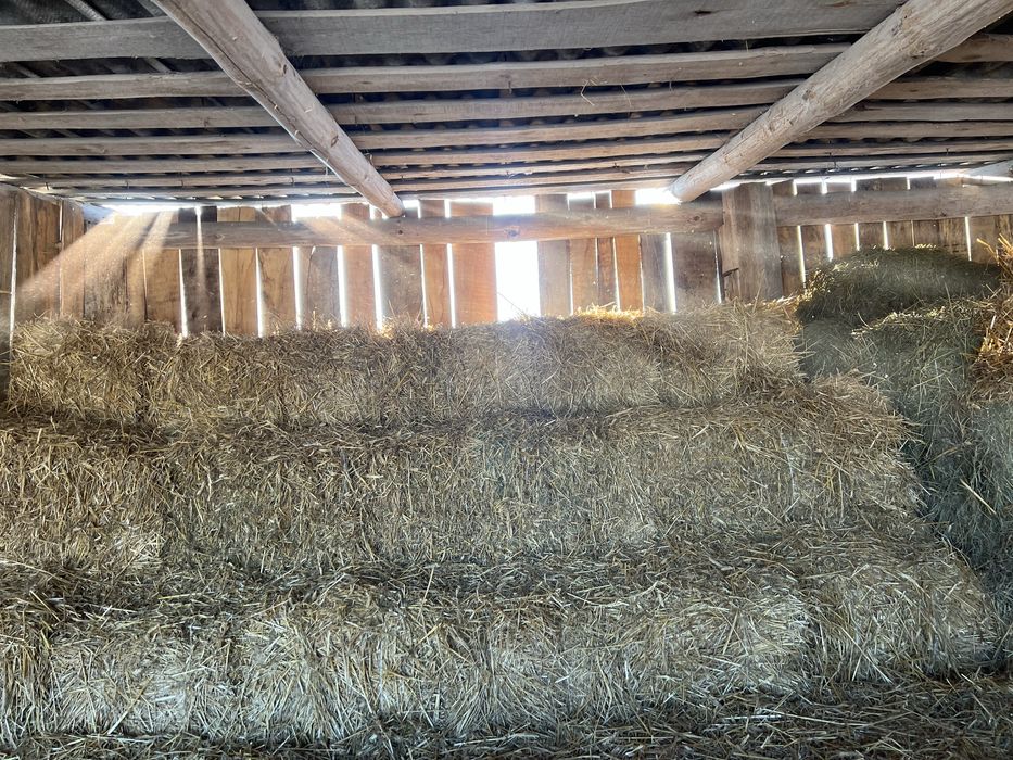 Сіно / є доставка