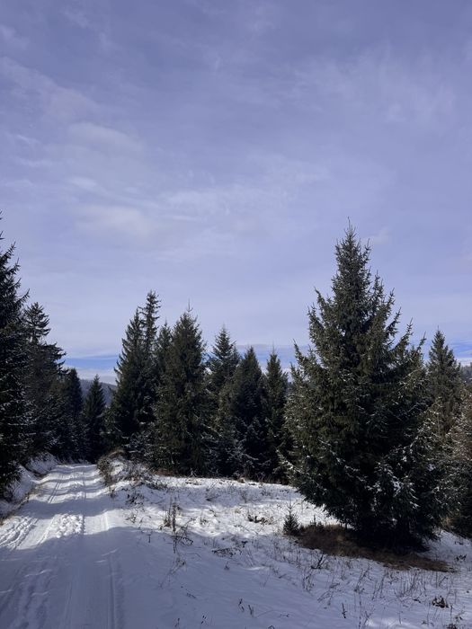 Продам ділянку в Карпатах з доїздом легковим авто с. Ільці