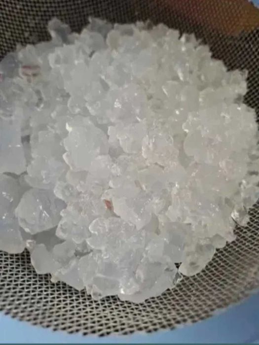 Kefir, algi japońskie