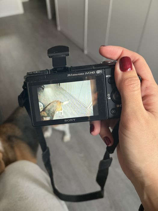 Camera Sony Alpha a5000