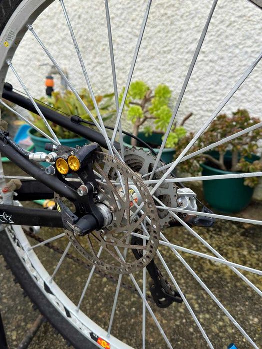 Bicicleta profissional