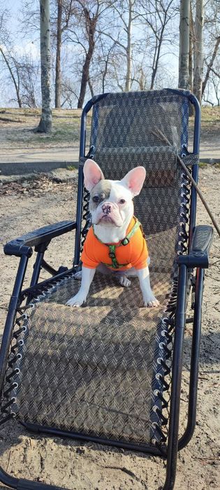 Французская булочка