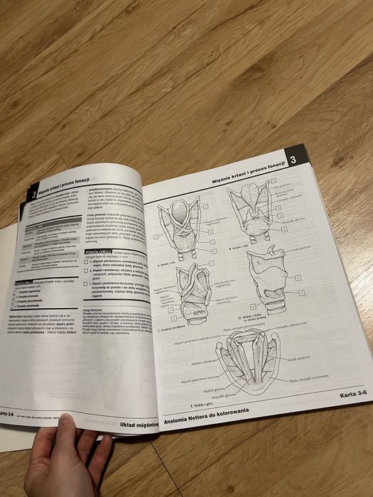 anatomia nettera do kolorowania