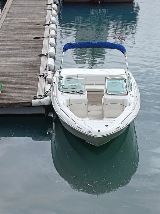 Sea Ray 230 BR