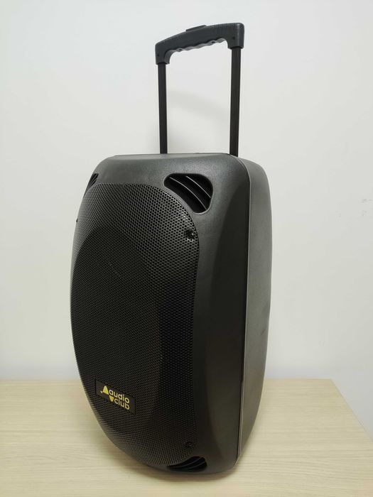 Coluna Portátil Profissional 400W RMS - Bluetooth/SD/USB/FM/2xmicro