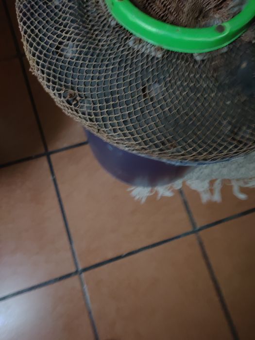 Bidon feito para pesca aos povos aos chocos ou peixe