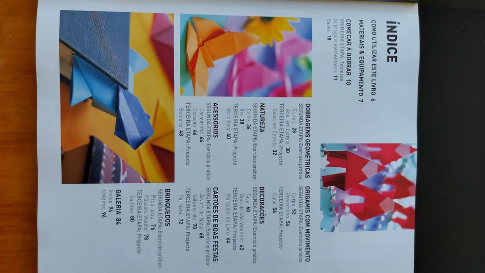Origami para Principiantes de Nick Robinson