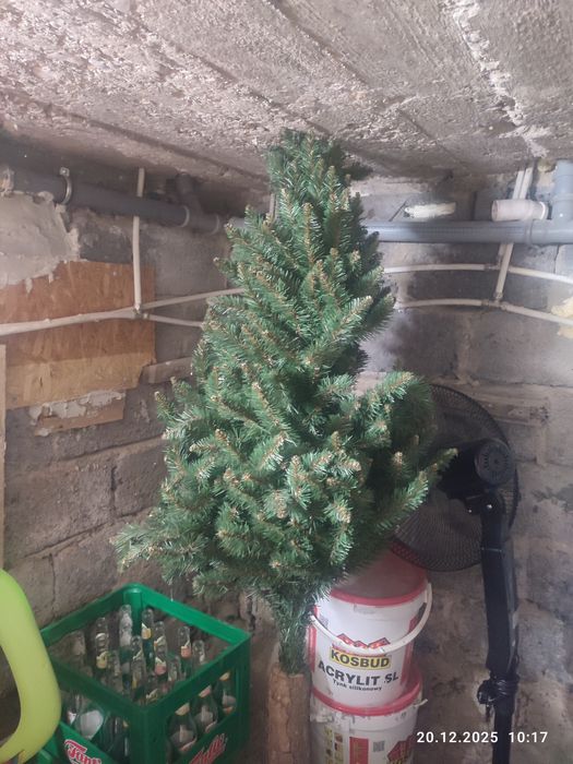 Choinka na pniu stuczna