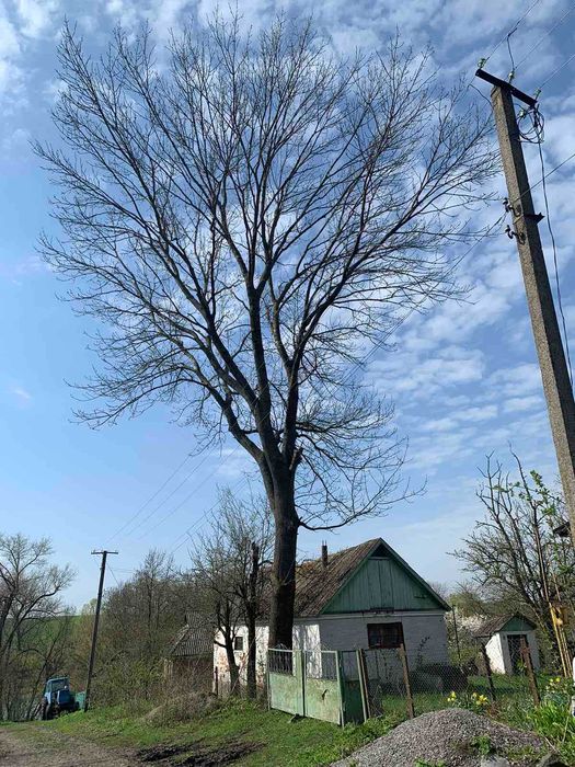 Видалення дерев будь-якої складності...