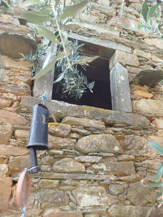 Quinta rural com  41000 metros s quadrados