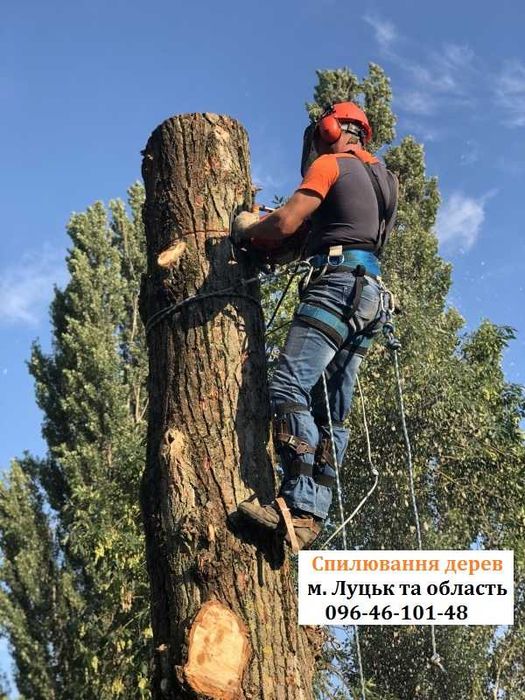 Видалення зрізання спил обрізка кронування валка дерев