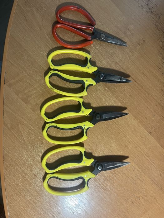 Молоток сапожный. Ножницы. Кусачки