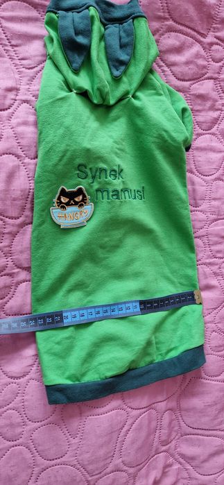 Ubranka dla kotka psa