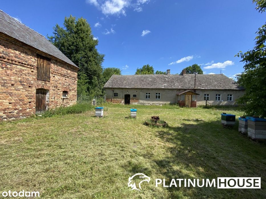 Dom – Zielona Góra - Widok 5