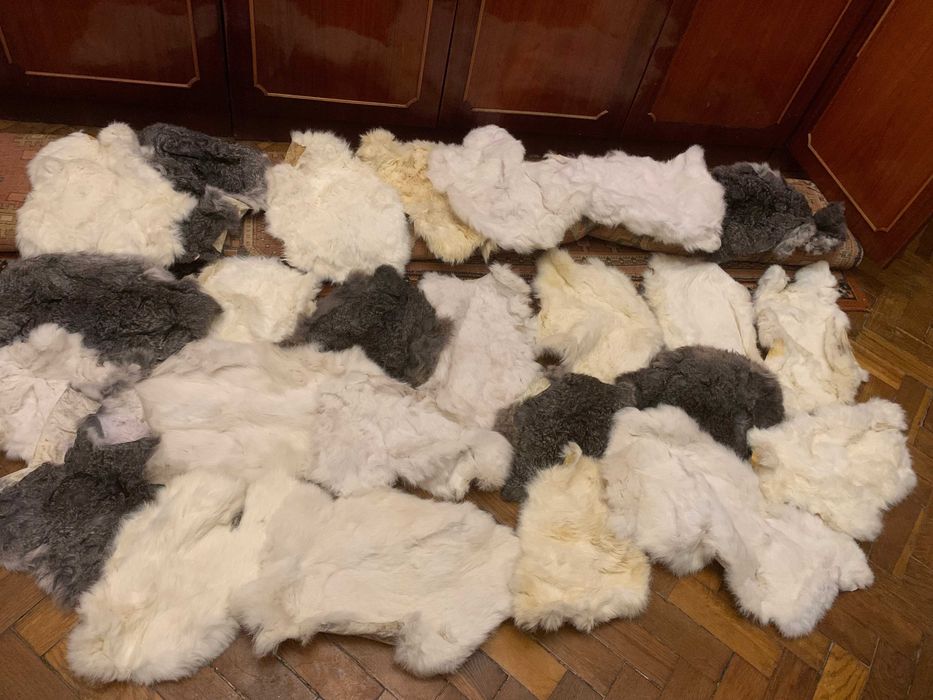 Кролячі шкурки ,різні шкурки