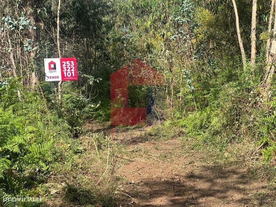Terreno Florestal, Santiago Carreiras — Carreiras (São Miguel) E Carreiras (Santiago), Braga