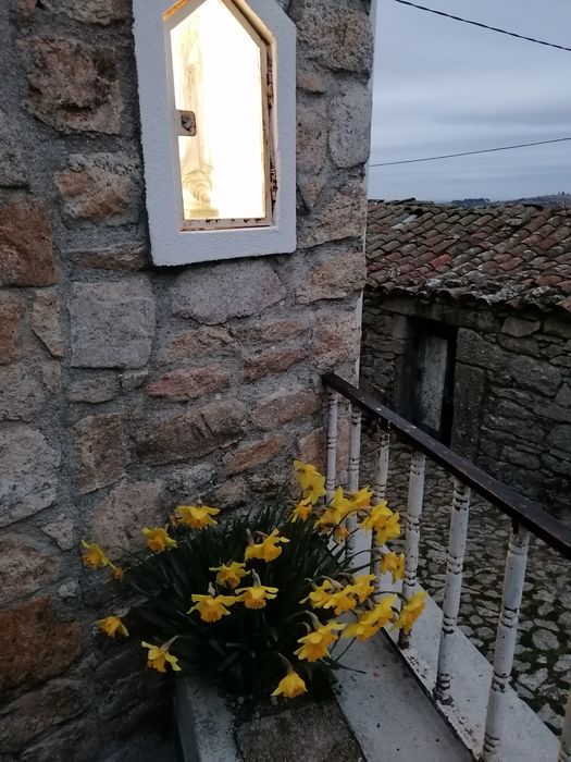 Casa restaurada t2 Penedono