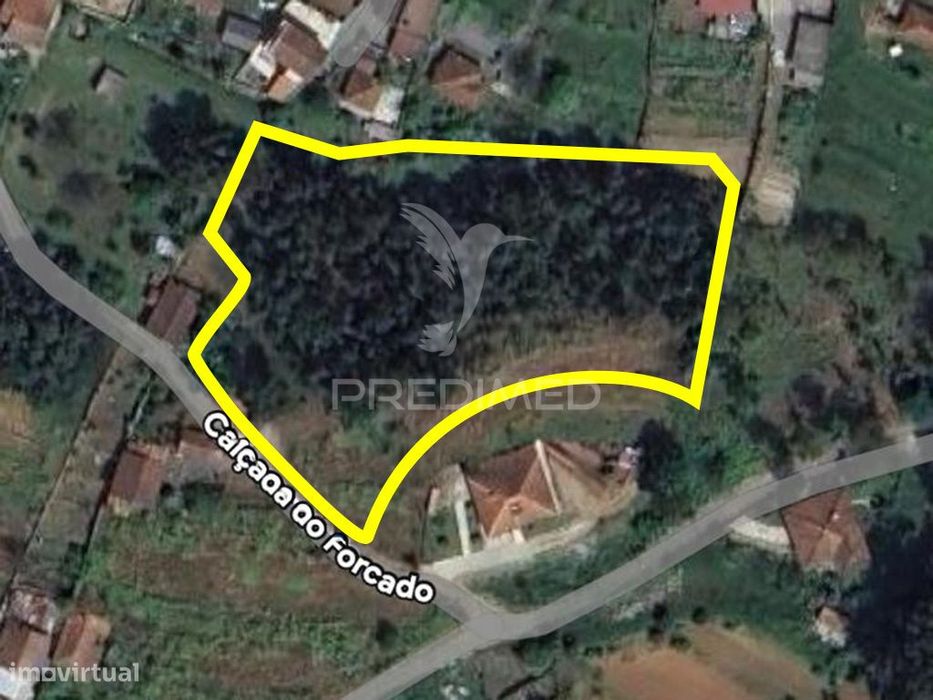 Terreno Urbano Na Zona Do Forcado, Telões, Amarante, Porto