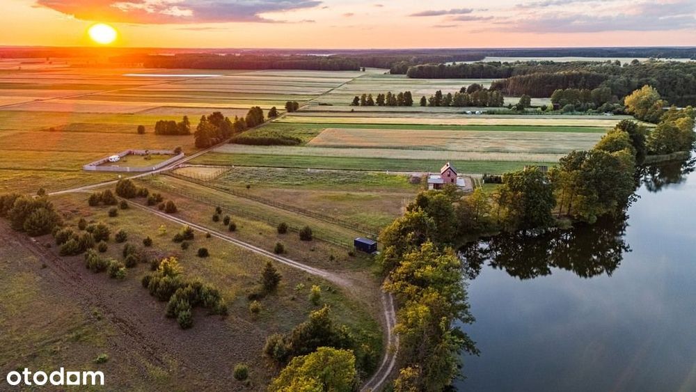 Twoje miejsce wśród natury-Obra, przy jeziorze - Widok 2