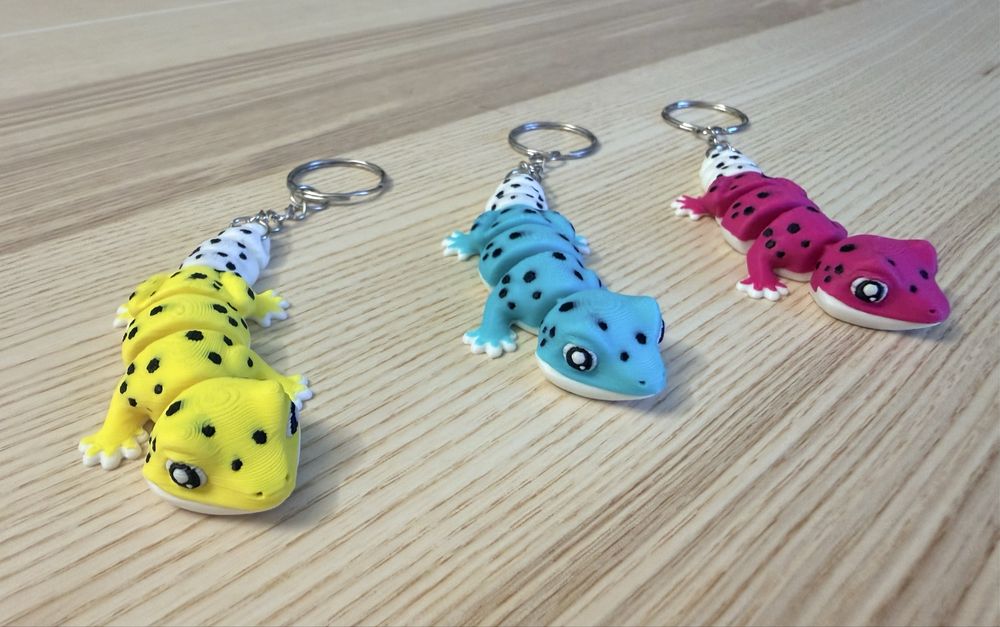 Zestaw gekon  brylok do kluczy