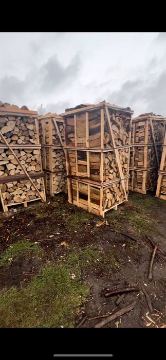 Дрова Твердих порід