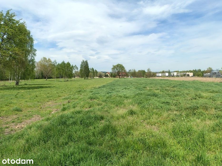 Плац, 21 m²