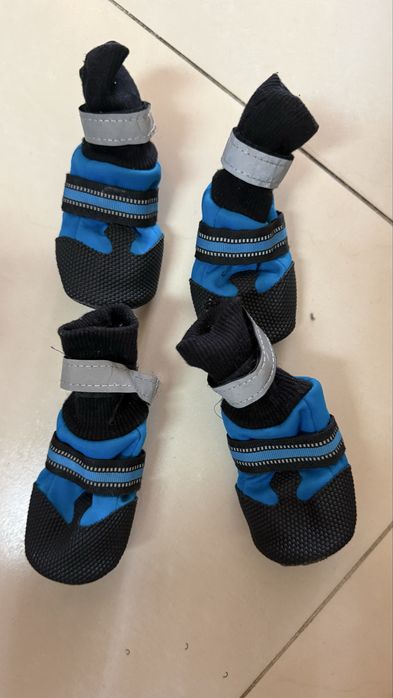 Взуття для собаки