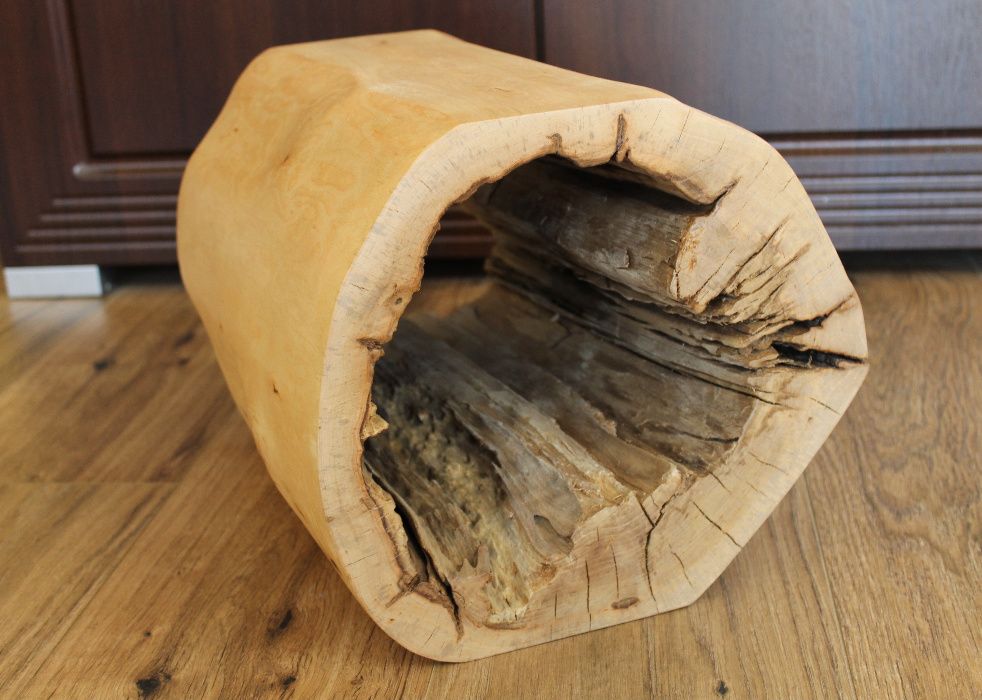 Kwietnik z pnia olchowego