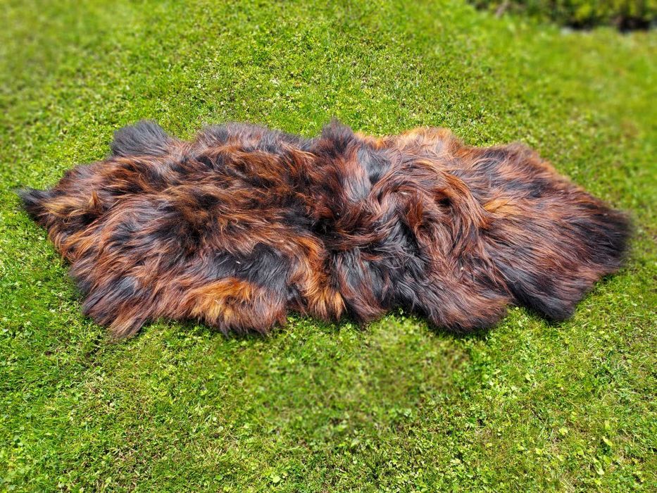 Dywan ze Skór Owczych Islandzkich Płomienista Czerń Unikatowy Kolor