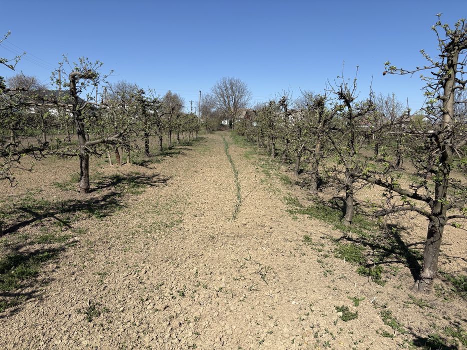Продається земельна ділянка під будівництво, с.Громи