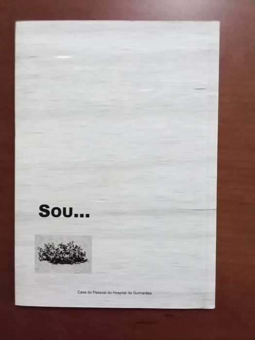 Sou... /Joaquim Pereira Veiga
