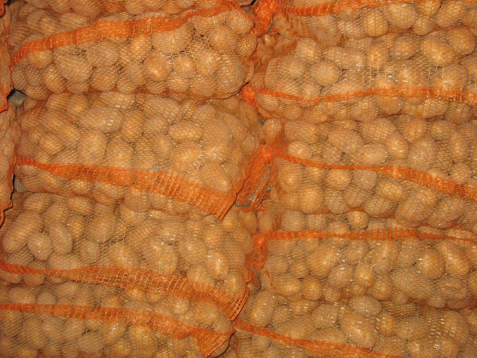 Ziemniaki jadalne