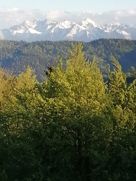 Domek na Karolce w Górach Gorcach, piękne widoki.