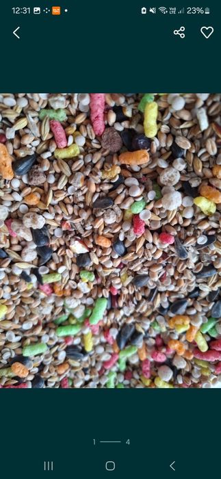 3 kg pokarm podstawowy dla królika I gryzonia