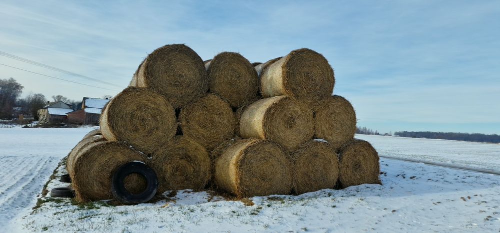 Sloma Przeno żytnia