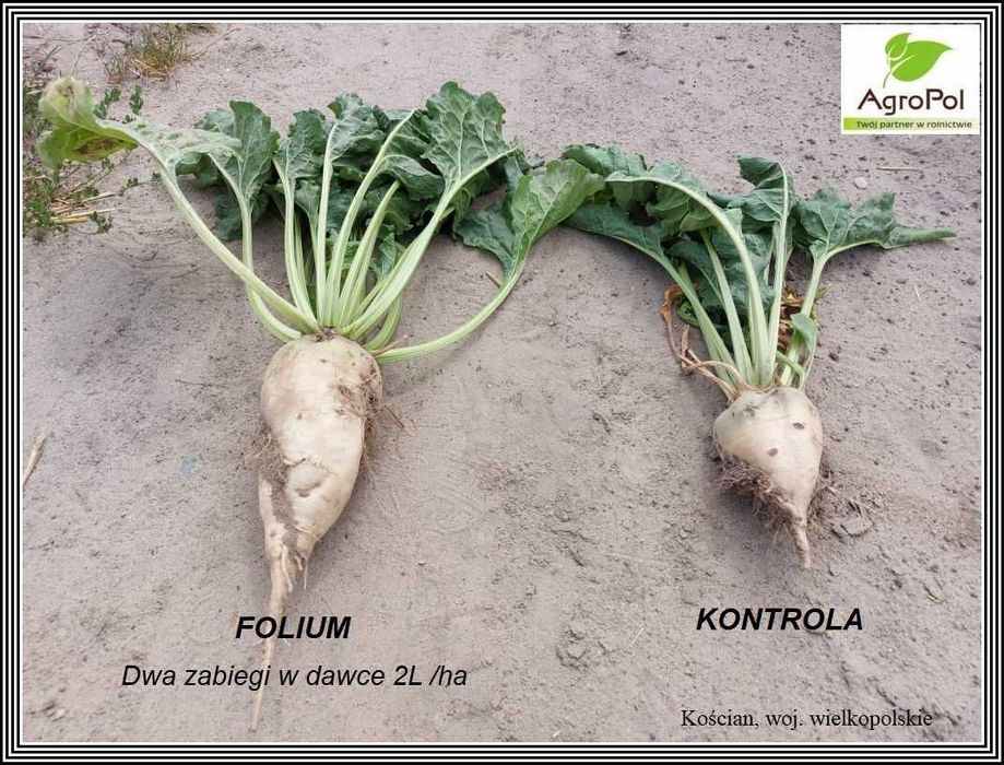 Agro-Sorb FOLIUM 20L Aminokwas Biostymulator Odżywka Nawóz
