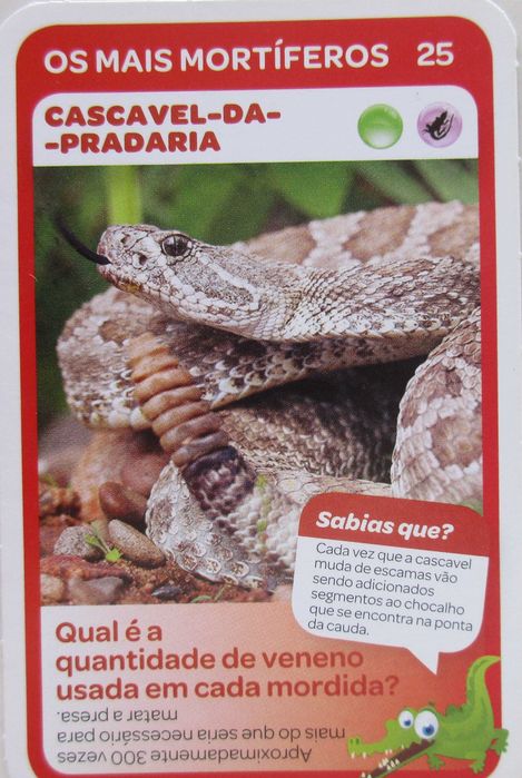 Super Animais 1 - - - Cromos - Cartas Soltas Pingo Doce - - - - Cromos