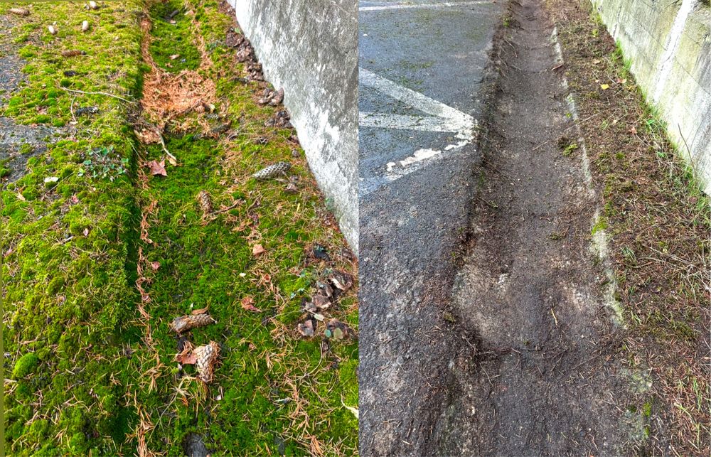 Usługi Sprzatające / Preprowadzki /Sprzatanie/Opróżnianie Domów