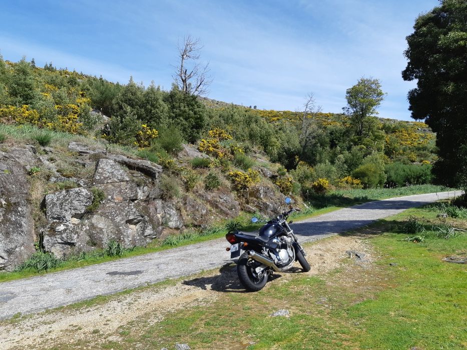 Suzuki bandit 600N 57kw