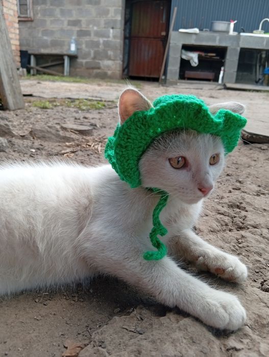 Вязанная панама для кота