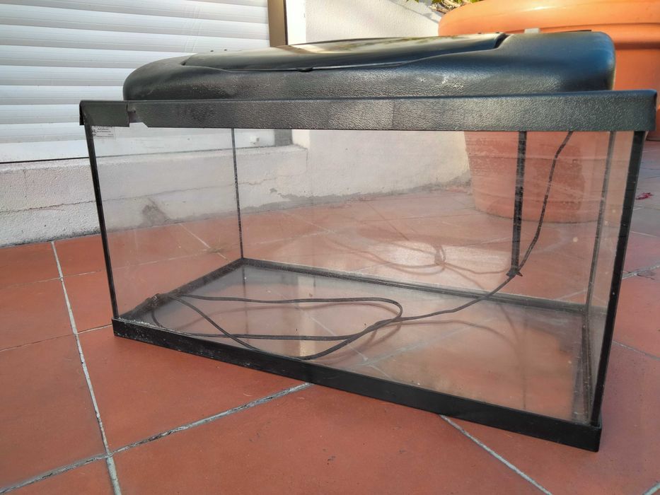 3 Aquários [ 100l, 58l e 58l )