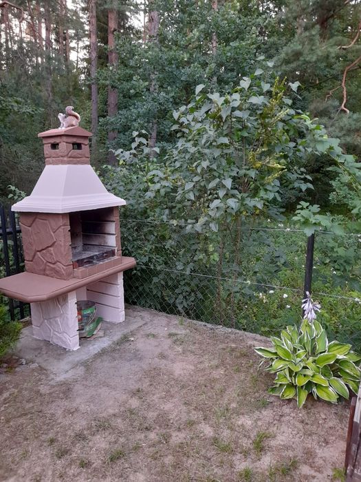 Wynajem domku letniskowego nad jeziorem DADAJ w Wilimach