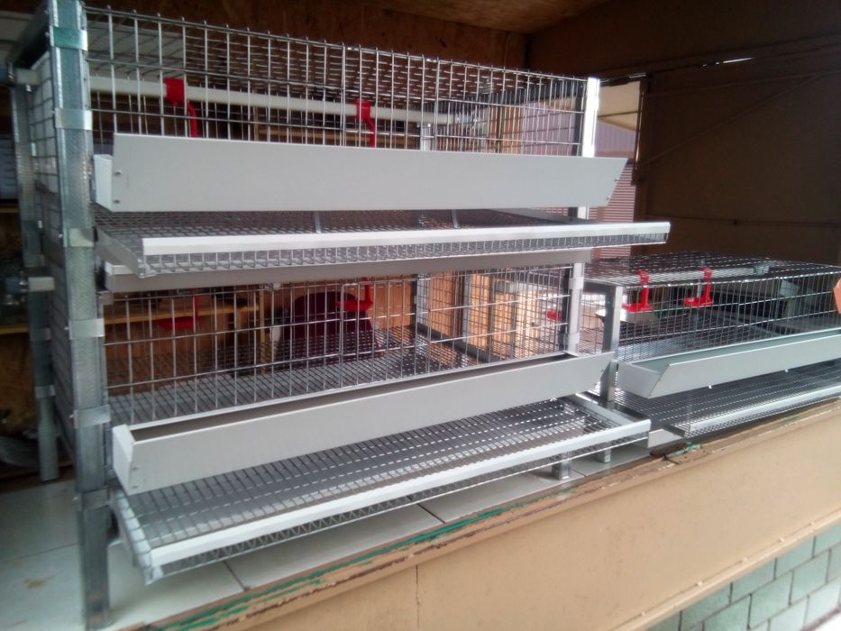 Клвтки для перепелів (Оплата частинаии)