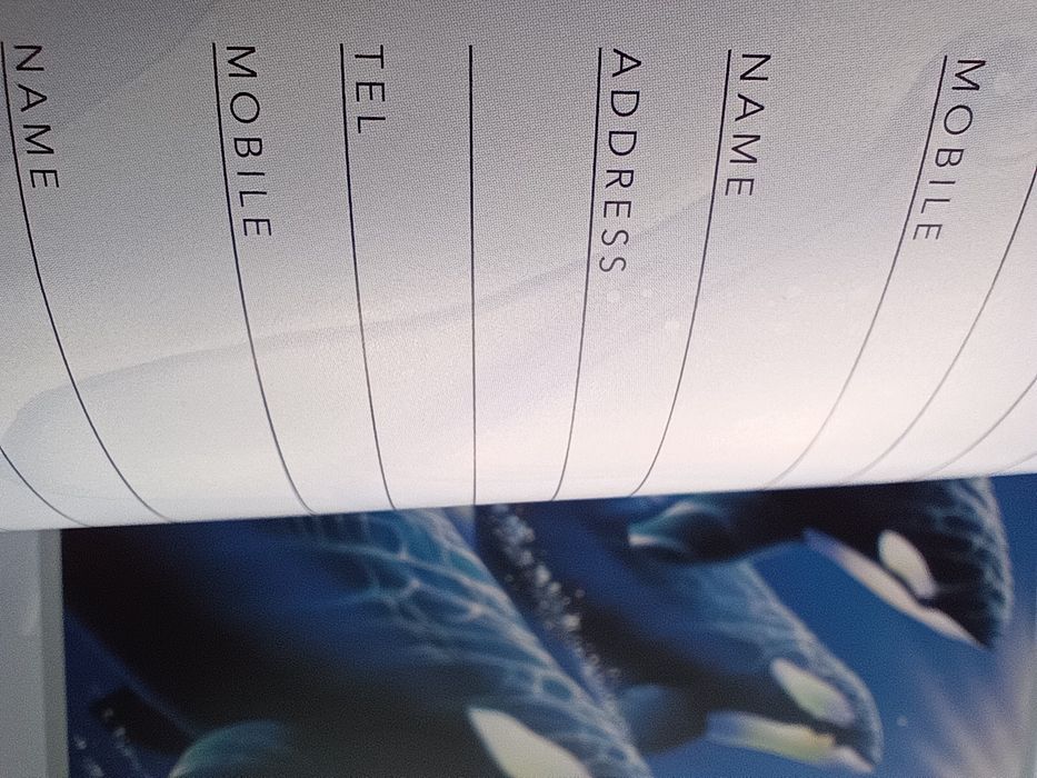 Agenda Aniversários/Endereços. Ilustrações magníficas de Golfinhos,etc