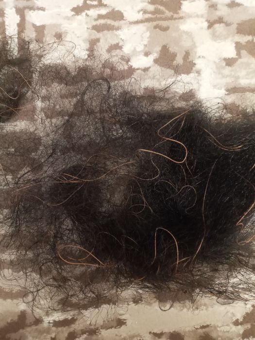 Продам рада для кольцеванія і міграції певних птіц