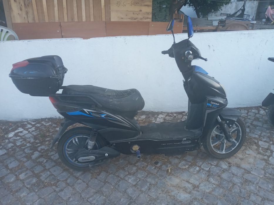 Mota eletrica marca vortex goose