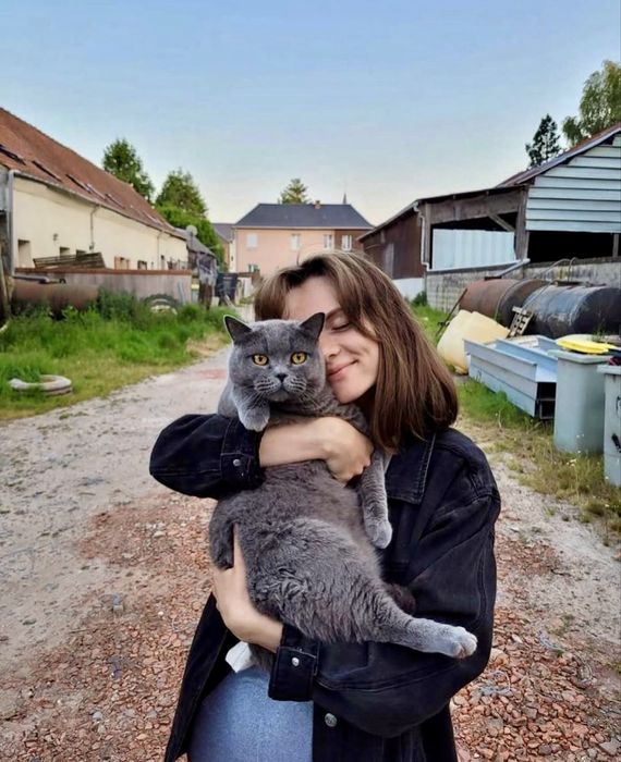 Доставка, перевезення тварин закордон. Перевозка животных в Европу.