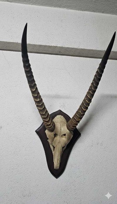 Troféu de Kobo Africano – Elegância Escultural