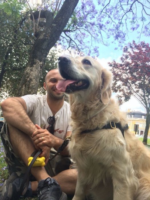 Passeio Amigo Lisboa - Estadia Familiar Canina - Dog Walker